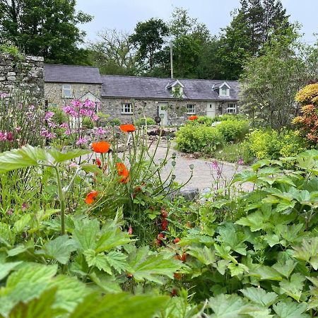 فيلا Crug Yr Eryr Isaf Llandysul المظهر الخارجي الصورة