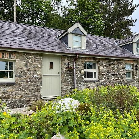 فيلا Crug Yr Eryr Isaf Llandysul المظهر الخارجي الصورة
