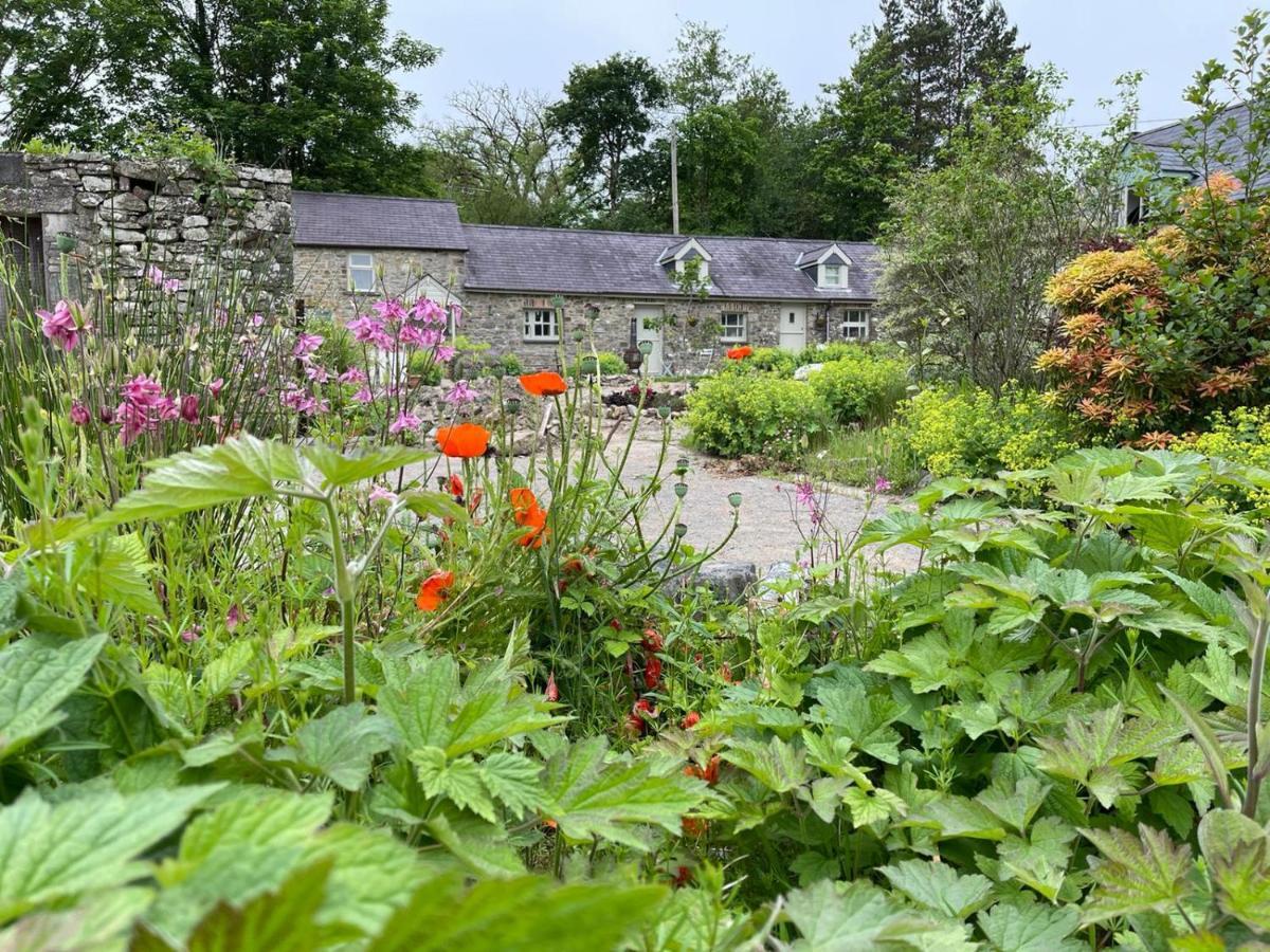 فيلا Crug Yr Eryr Isaf Llandysul المظهر الخارجي الصورة